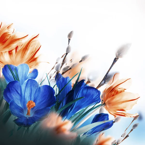 Biglietto di Pasqua con fiori — Foto Stock