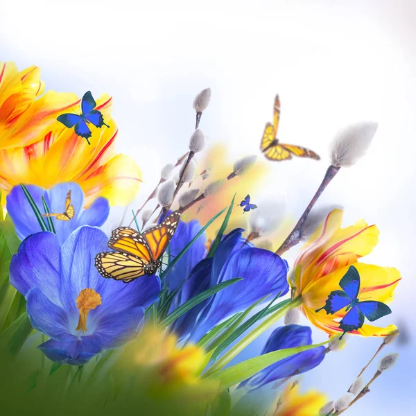 Tarjeta de Pascua con flores y mariposas — Foto de Stock