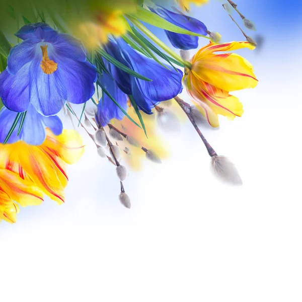Пасхальная открытка с цветами — стоковое фото