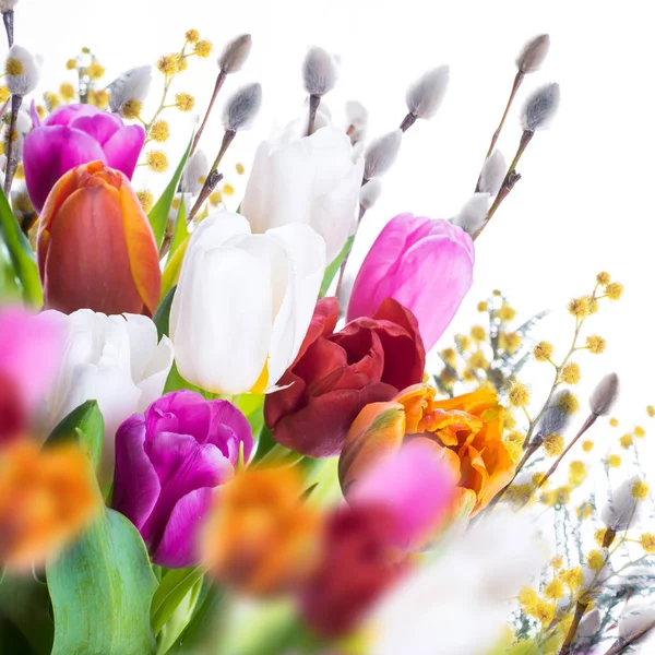 Tulips with willow branches — Stock Photo, Image