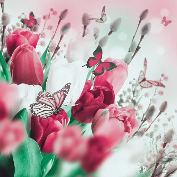 Tulips with willow and butterflies — Stock Photo, Image