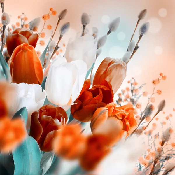 Tulpen met takken van de wilg — Stockfoto