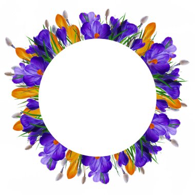 Söğüt dalları ile Çiğdem çiçek 