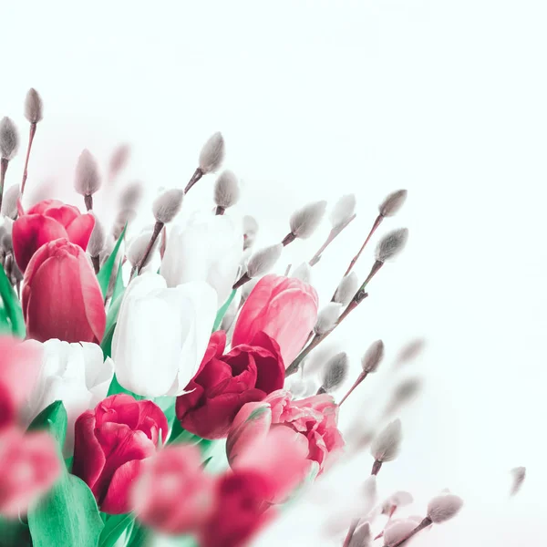 Красные тюльпаны с ивовыми ветвями — стоковое фото