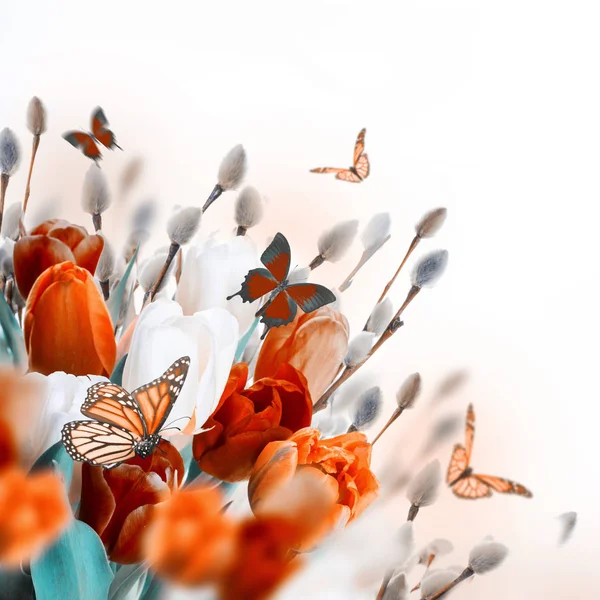 Tulipas laranja com salgueiro e borboletas — Fotografia de Stock