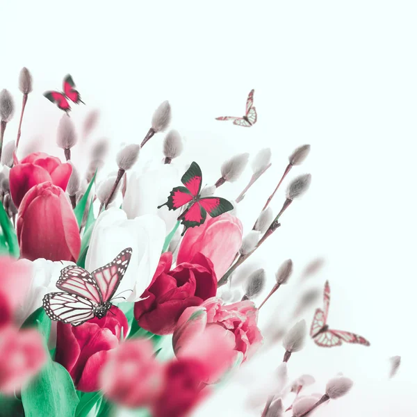 Rote und weiße Tulpen und Schmetterlinge — Stockfoto