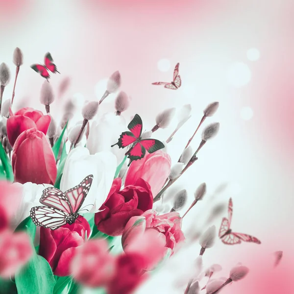 Tulpen met wilg en vlinders — Stockfoto