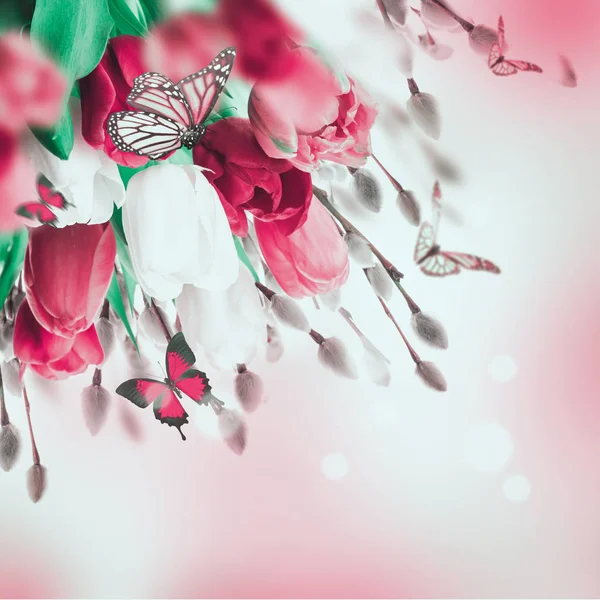 Rote und weiße Tulpen und Schmetterlinge — Stockfoto