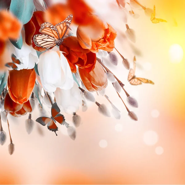 柳と蝶チューリップ — ストック写真