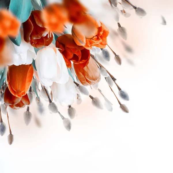 Oranžové tulipány s vrbové větve — Stock fotografie