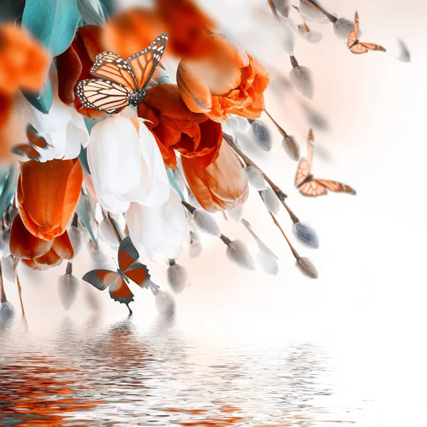 Tulips and butterflies with reflection — Stock Photo, Image