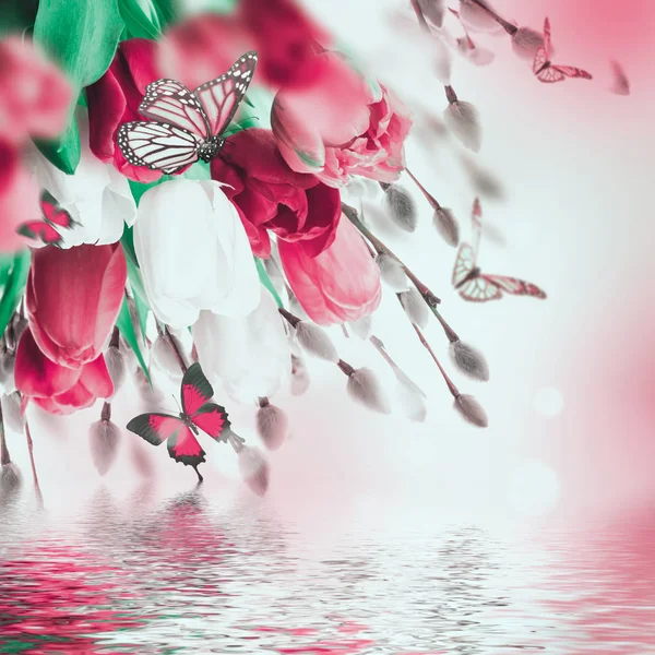 Tulpen en vlinders met reflectie — Stockfoto