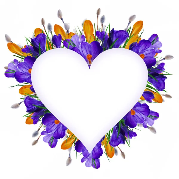 Crocus flowers with willow branches — Stock Photo, Image