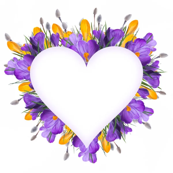 Crocus flowers with willow branches — Stock Photo, Image