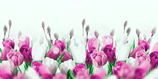 Tulips with willow branches — Stock Photo, Image