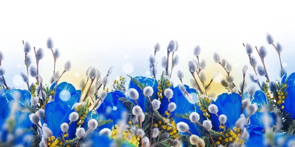 Blauwe tulpen met takken van de wilg — Stockfoto