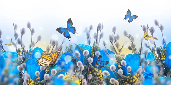 Tulips with willow and butterflies — Stock Photo, Image