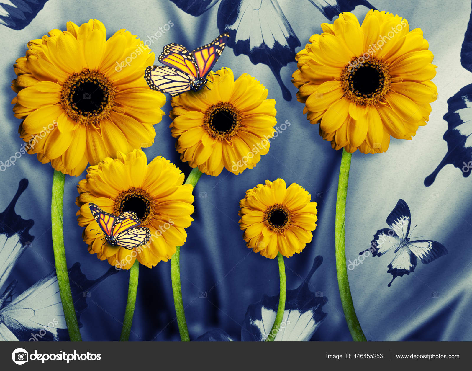Floral background of chrysanthemums Stock Photo by ©seqoya 146455253