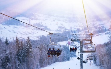 Noel kış manzara, Ladin ve çam ağaçları