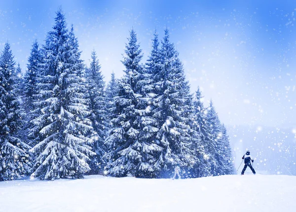 Paesaggio invernale natalizio, abeti rossi e pini — Foto Stock