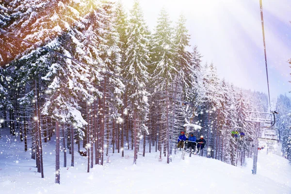 Weihnachten Winterlandschaft, Fichten und Kiefern — Stockfoto