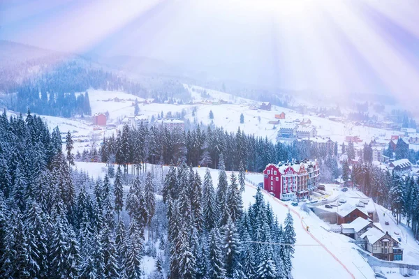 Vánoční zimní krajina, smrkové a borové stromy — Stock fotografie