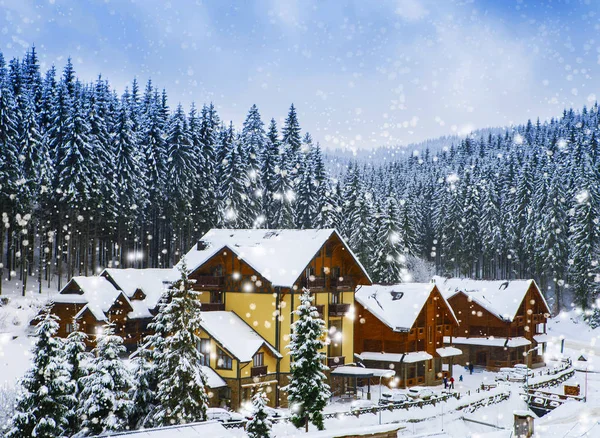 Vánoční zimní krajina, smrkové a borové stromy — Stock fotografie