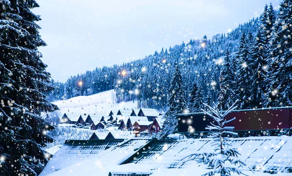 Paisaje de invierno de Navidad, abetos y pinos —  Fotos de Stock