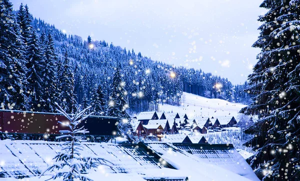 Paisaje de invierno de Navidad, abetos y pinos —  Fotos de Stock