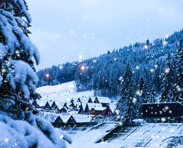 Paysage d'hiver de Noël, épinettes et pins — Photo