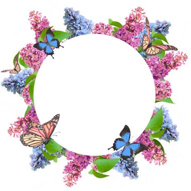 Muhteşem bahar Eflatun çiçek kart