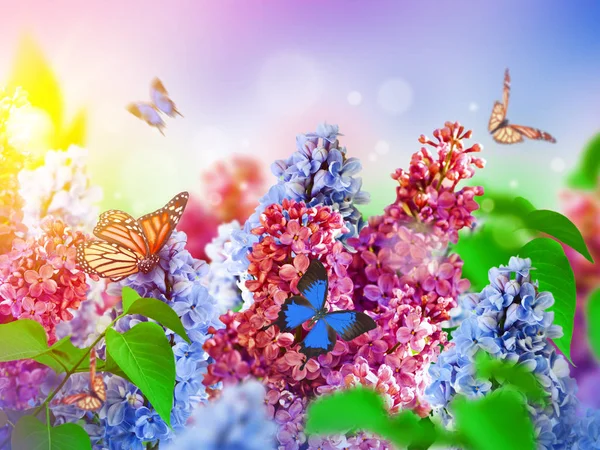 Increíble primavera lila en una postal de flores —  Fotos de Stock