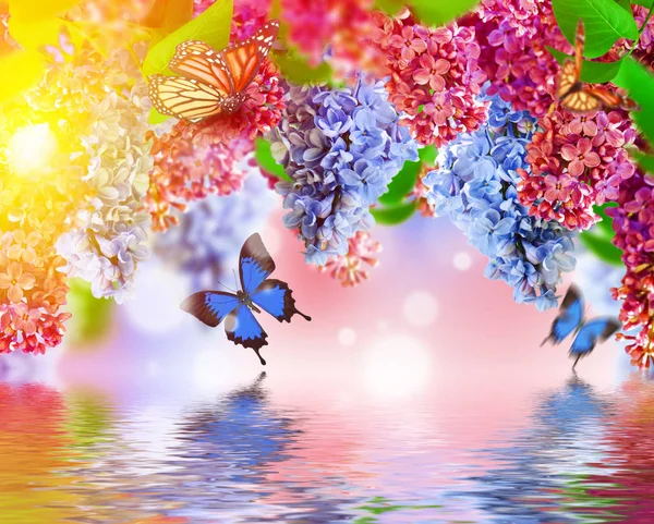 Incredibile lilla primaverile su una cartolina di fiori — Foto Stock