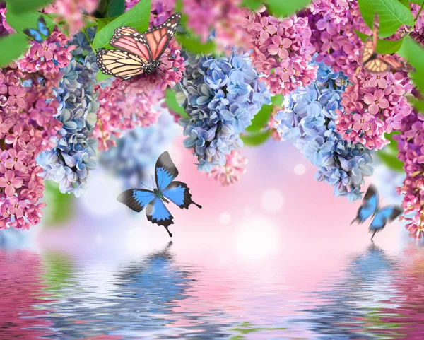 Incredibile lilla primaverile su una cartolina di fiori — Foto Stock