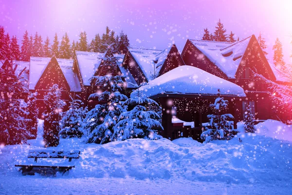 Ein Märchenhaus im Wald inmitten der schneebedeckten Tannen — Stockfoto