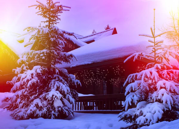 Una casa de cuento de hadas en el bosque entre los abetos cubiertos de nieve —  Fotos de Stock