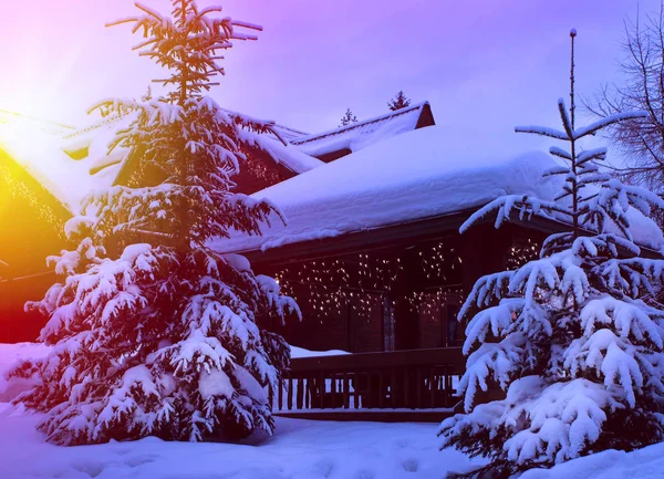 Una casa de cuento de hadas en el bosque entre los abetos cubiertos de nieve —  Fotos de Stock