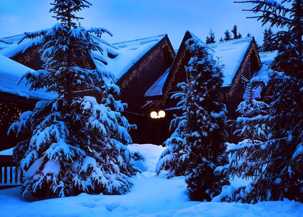 Ein Märchenhaus im Wald inmitten der schneebedeckten Tannen — Stockfoto