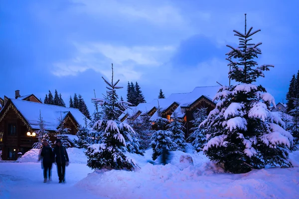 En sagolik hus i skogen mitt i de snötäckta granarna — Stockfoto