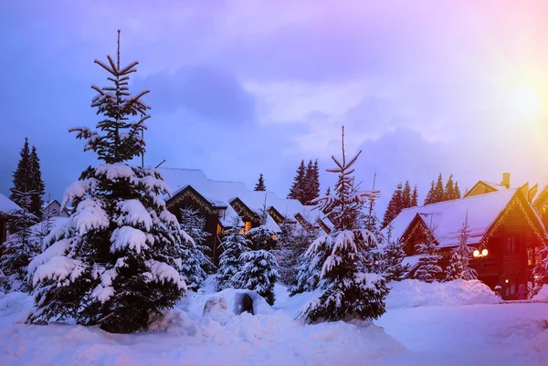 Казковий будинок в лісі серед снігових ялинок — стокове фото