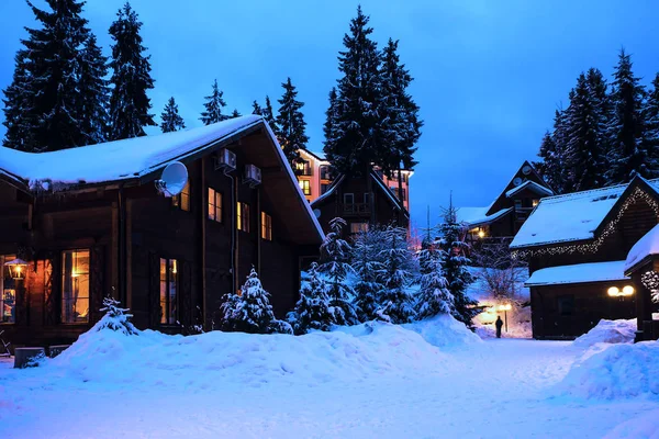 A fairy-tale house in the woods amid the snow-covered fir trees