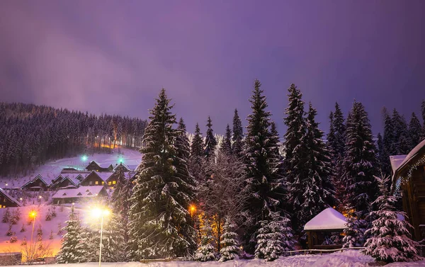 stock image A fairy-tale house in the woods amid the snow-covered fir trees