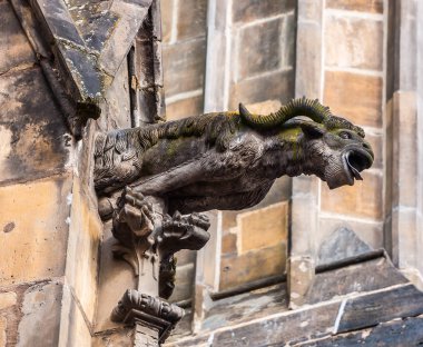 Kötü ruh püskürtmek canavar 