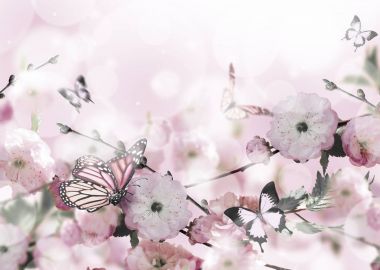 Çiçekler arka plan ile muhteşem bahar sakura