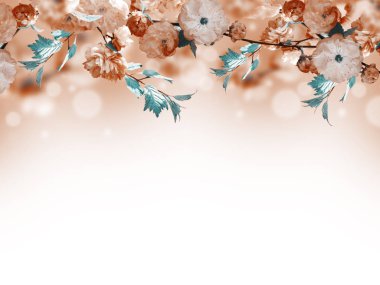 Çiçekler arka plan ile muhteşem bahar sakura