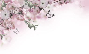 Çiçekler arka plan ile muhteşem bahar sakura