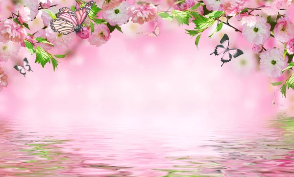 Flowers background with amazing spring sakura — Stock Photo, Image