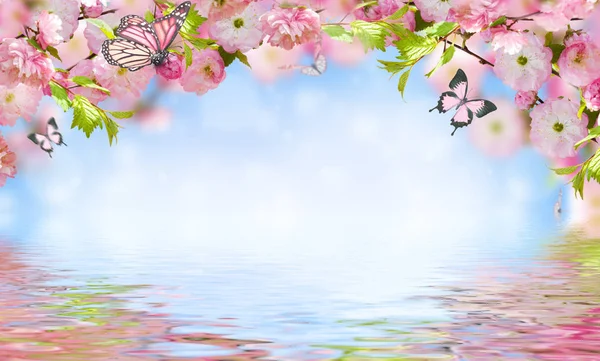 Blumen Hintergrund mit erstaunlichen Frühling Sakura — Stockfoto