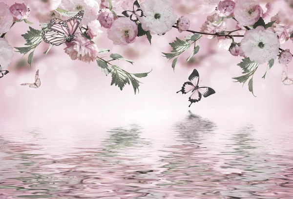 Çiçekler arka plan ile muhteşem bahar sakura — Stok fotoğraf