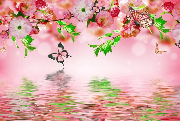 Flowers background with amazing spring sakura — Stock Photo, Image